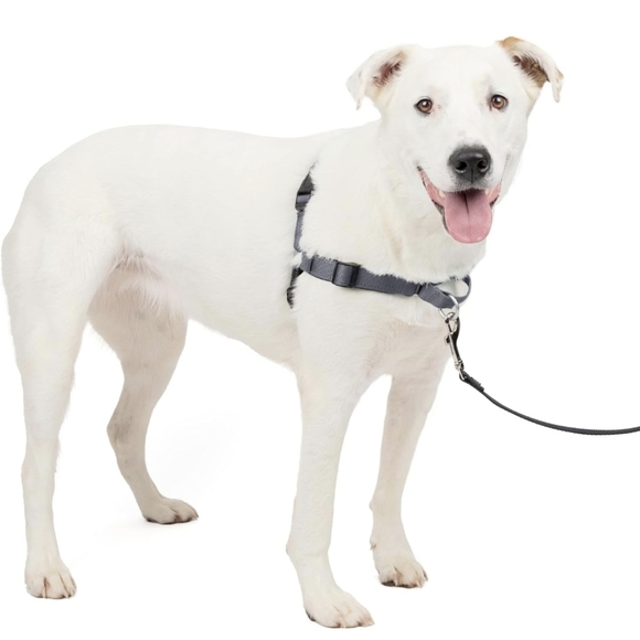 Petsafe Easy Walk Dog Harness with D-Ring Reflective Size M/L - Picture 2 of 12